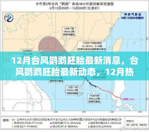 臺(tái)風(fēng)鸚鵡胚胎最新消息，12月熱帶風(fēng)暴孕育與影響回顧