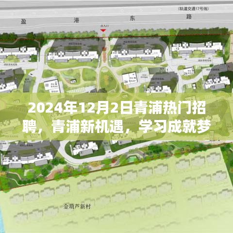 2024年12月2日青浦熱門招聘啟幕，新機遇助力學習成就夢想