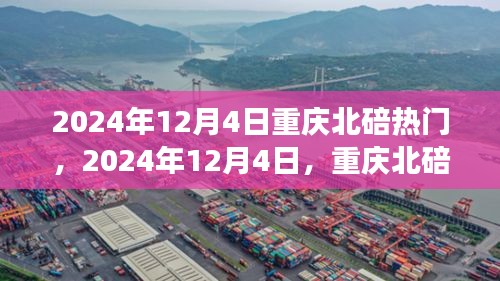 2024年12月4日重慶北碚之旅，探尋自然美景，重拾心靈寧靜