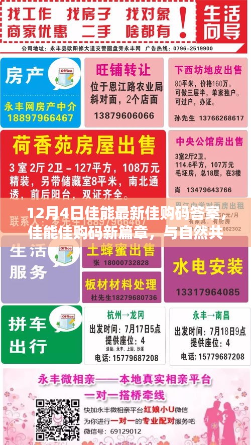 佳能佳購碼新篇章揭秘，與自然共舞，探尋心靈寧靜之地（12月4日最新答案）