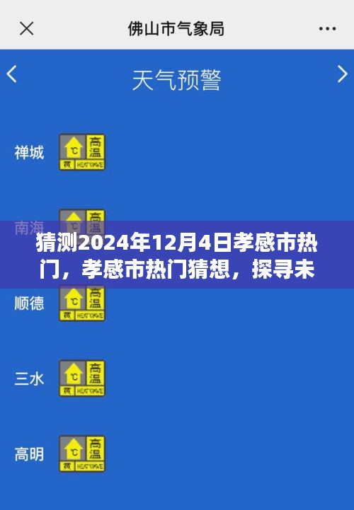 探尋孝感市未來魅力風(fēng)采，2024年12月4日熱門猜想與風(fēng)采展望