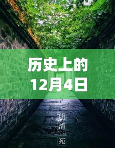 歷史上的12月4日潁上易景售樓盛況揭秘，巷陌間的夢(mèng)幻售樓空間獨(dú)特記憶