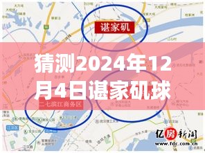 諶家磯球場最新動(dòng)態(tài)展望，未來賽事猜想（2024年12月4日）