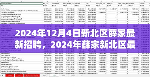 2024年新北區(qū)薛家最新招聘全攻略，適合初學(xué)者與進(jìn)階用戶的應(yīng)聘指南