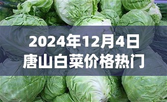 唐山白菜情緣，冬日蔬菜市場(chǎng)的溫情故事與白菜價(jià)格行情解析