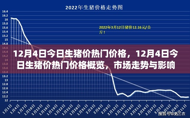 12月4日生豬價(jià)熱門概覽，深度解析市場(chǎng)走勢(shì)與影響因素