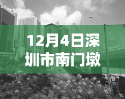 深圳市南門墩12月4日最新動態(tài)詳解與任務(wù)技能指南