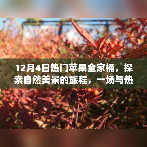 蘋(píng)果全家桶冬日之旅，探索自然美景的奇妙邂逅