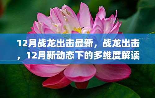 戰(zhàn)龍出擊，12月新動(dòng)態(tài)多維度解讀