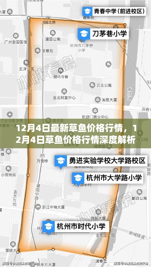 12月4日草魚價格行情解析，市場走勢、影響因素及選購指南