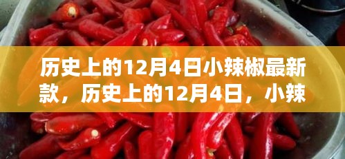 歷史上的小辣椒最新款誕生與影響，揭秘12月4日的獨特意義