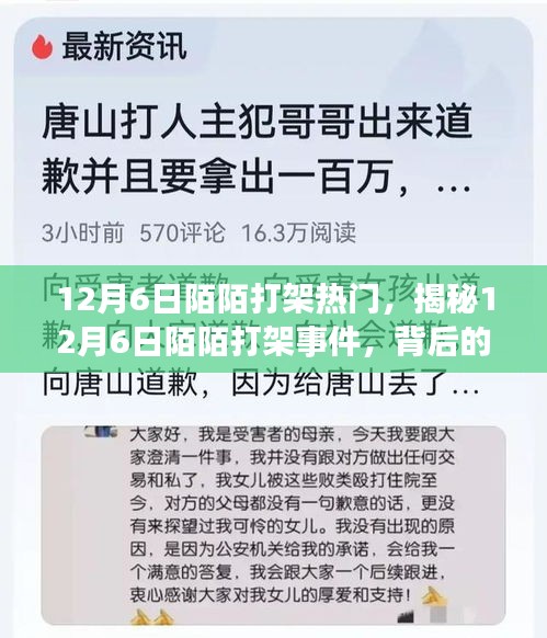 揭秘，12月6日陌陌打架事件背后的原因與影響熱議風潮