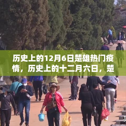 歷史上的十二月六日，楚雄疫情風(fēng)云變遷回顧