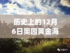 揭秘黃金海岸，歷史上的12月6日最新動態(tài)與發(fā)展歷程揭秘