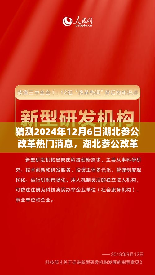 湖北參公改革展望，深度解析熱門消息，預(yù)測未來趨勢至2024年12月6日