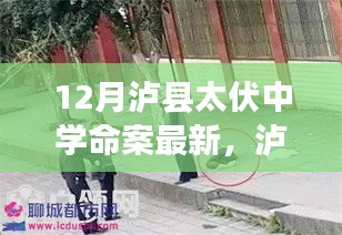 瀘縣太伏中學(xué)命案最新科技進展，智能安防系統(tǒng)重塑校園安全新篇章