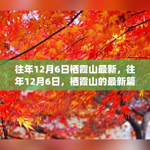 往年12月6日棲霞山深度解析，歷史、事件與地位的新篇章