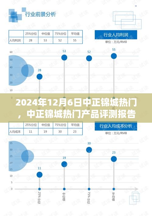 2024年12月6日中正錦城熱門，中正錦城熱門產(chǎn)品評(píng)測(cè)報(bào)告——深度解析與用戶體驗(yàn)分享（XXXX年XX月XX日版）