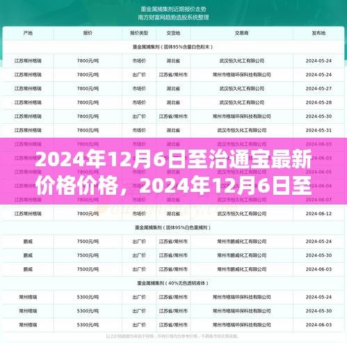 2024年12月6日至治通寶最新價格分析與預測