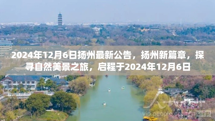 揚(yáng)州新篇章啟程，探尋自然美景之旅的最新公告（2024年12月6日）