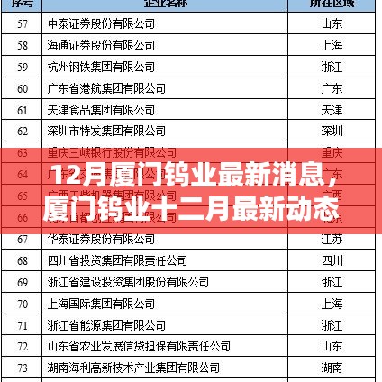 廈門鎢業(yè)十二月最新動態(tài)概覽，最新消息概覽