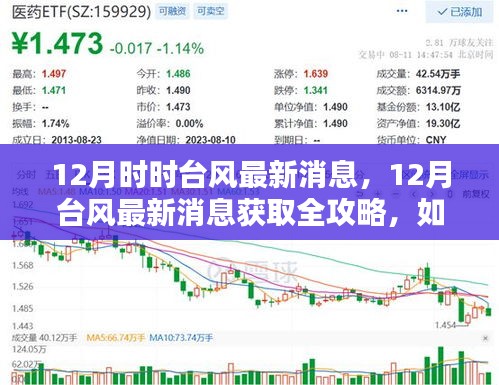 12月臺風最新消息全攻略，如何跟進動態(tài)，獲取實時信息