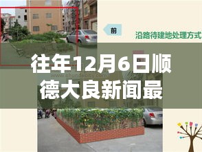 順德大良歷年十二月六日新聞回顧與影響深度探析，最新消息一覽