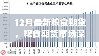 聚焦糧食期貨市場(chǎng)深度洞察，十二月最新動(dòng)態(tài)與市場(chǎng)趨勢(shì)