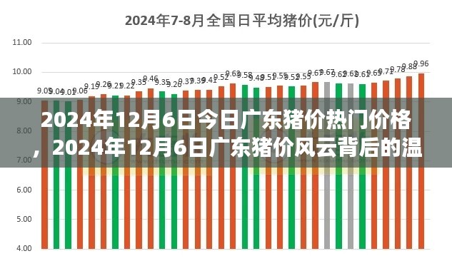 廣東豬價風云背后的溫情故事，最新價格動態(tài)與深度解讀