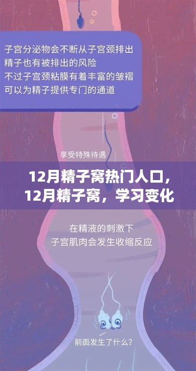 12月精子窩，學(xué)習(xí)變化與自信成就感的源泉，熱門人生的啟航地