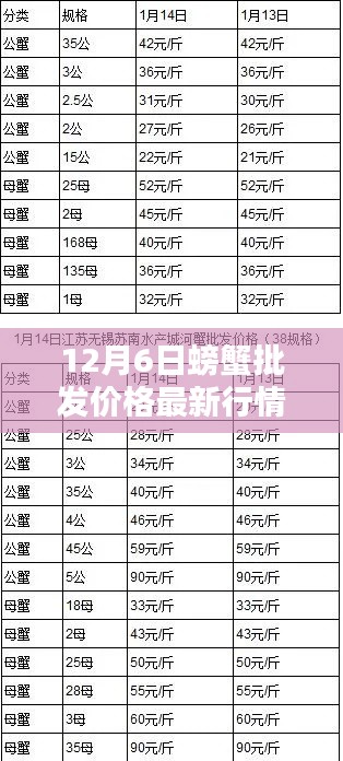 12月6日螃蟹批發(fā)價(jià)格最新行情，12月6日螃蟹批發(fā)價(jià)格最新行情詳解，入門指南與關(guān)鍵步驟