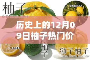 揭秘柚子歷史價格，柚子價格查詢?nèi)ヂ裕ㄟm合初學(xué)者與進(jìn)階用戶）