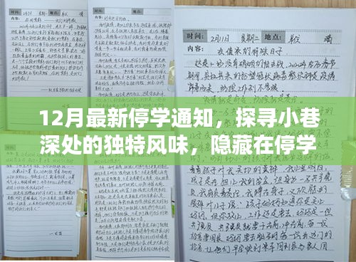 12月最新停學(xué)通知，探尋小巷深處的獨特風(fēng)味，隱藏在停學(xué)通知背后的秘密小店