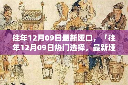 往年12月09日最新埡口產(chǎn)品評測與介紹，熱門選擇詳解