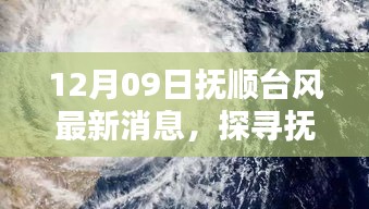 撫順臺(tái)風(fēng)日下的隱秘小巷與風(fēng)味小店探秘記（最新消息）