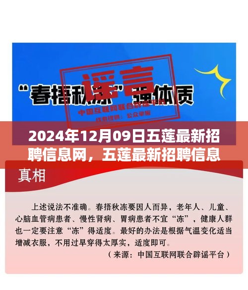 五蓮最新招聘信息網(wǎng)使用指南（初學(xué)者與進(jìn)階用戶適用，發(fā)布日期，2024年12月9日）