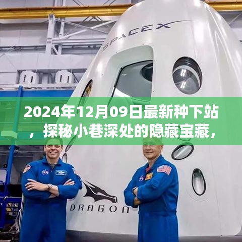 探秘最新種下站，小巷深處的隱藏寶藏與特色小店推薦（2024年12月09日）