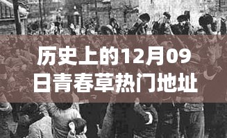 探尋青春草熱門地址背后的文化現象與青春記憶，歷史視角下的12月09日回顧