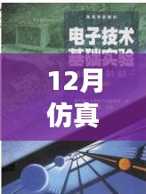 仿真之路，實(shí)時(shí)啟航，迎接自信與成就感的魔法時(shí)刻——十二月仿真需求解析