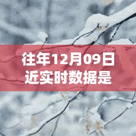 往年12月9日數(shù)據(jù)的魔法，溫馨回憶中的實(shí)時(shí)時(shí)光