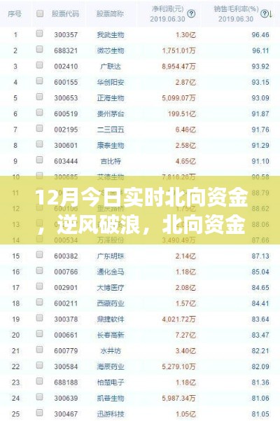 北向資金啟示下的成長(zhǎng)奇跡，12月實(shí)時(shí)洞察，自信成就夢(mèng)想之旅