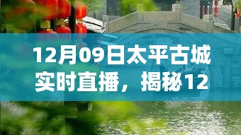 揭秘太平古城直播日，巷弄深處的獨特小店與探秘之旅