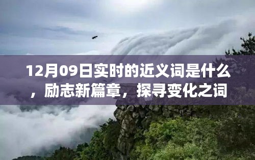 12月09日實時近義詞探索與勵志新篇章，探尋詞匯魔力，學習鑄就自信成就之橋