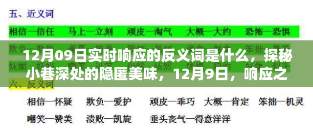 探秘實(shí)時(shí)響應(yīng)反義詞與小巷深處的隱匿美味，12月9日的探索之旅