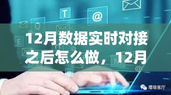 12月數(shù)據(jù)實時對接后的策略指南，多方考量與行動步驟