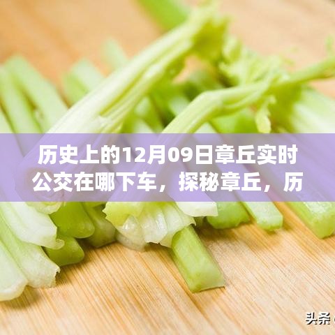 探秘章丘，歷史深處的公交軌跡與小巷美食寶藏——12月9日實時公交指南