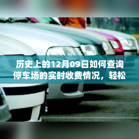 如何查詢停車場實時收費情況？詳細步驟指南（歷史上的12月09日版）