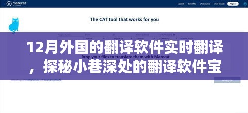 探秘十二月外國(guó)實(shí)時(shí)翻譯軟件，小巷深處的翻譯寶藏體驗(yàn)之旅