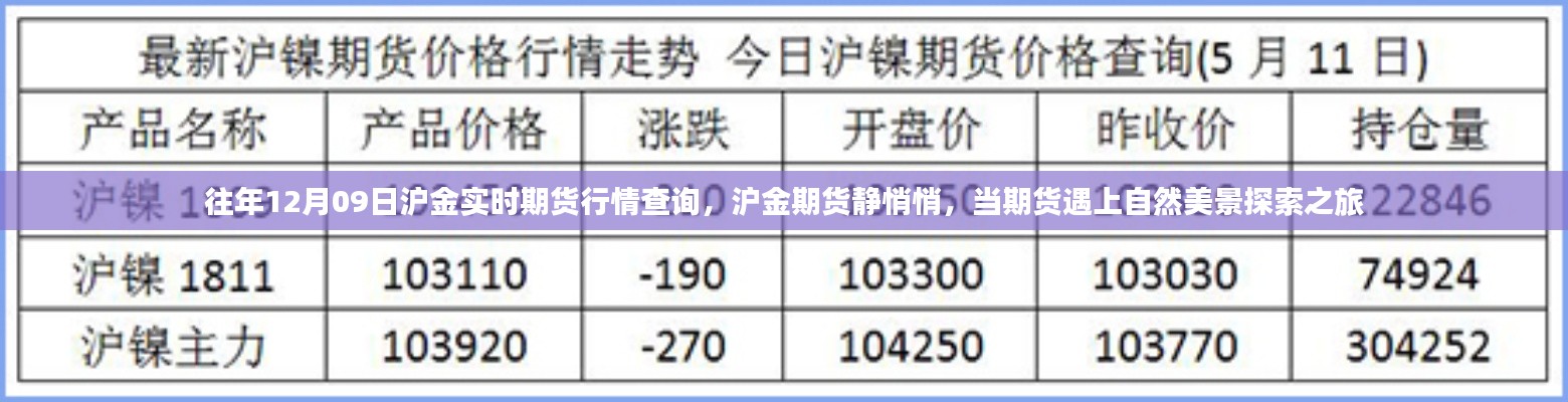 往年12月09日滬金期貨行情解析，靜謐市場(chǎng)與美景探索之旅