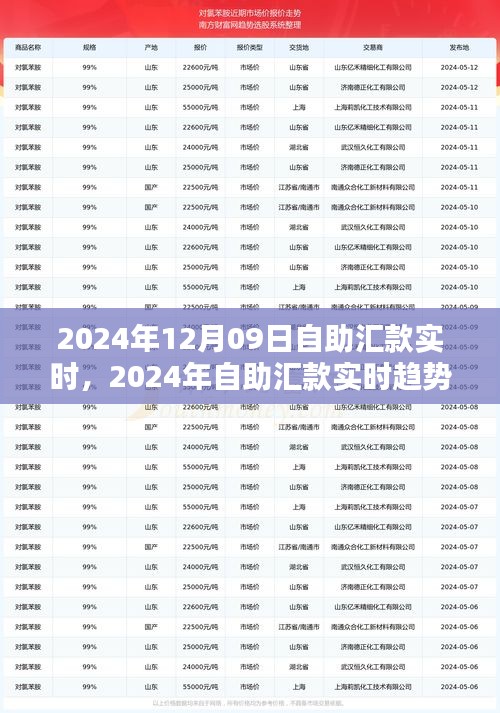 自助匯款實時趨勢下的金融革新，機遇與挑戰(zhàn)并存（2024年12月09日）